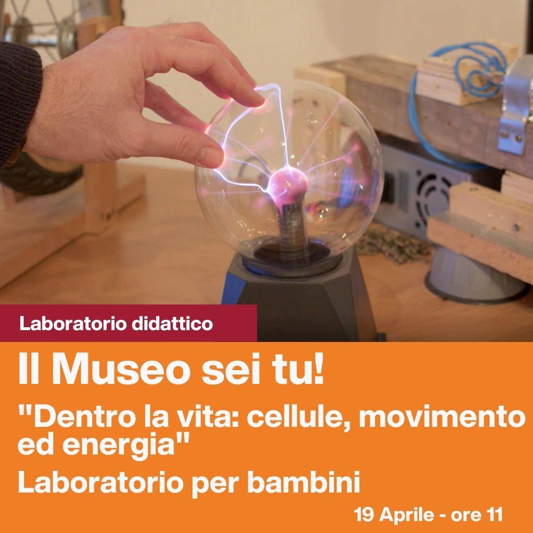 Locandina Dentro la vita 2026